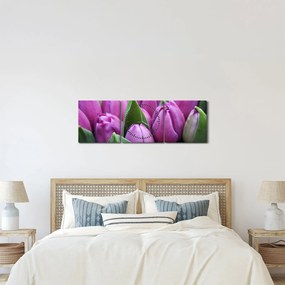 Kép - tulipánok (órával) (90x30 cm)