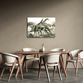 Kép - Zsiráfok, vintage (70x50 cm)