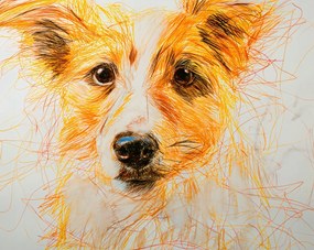 Poszter 76x60,5cm Bájos vendég