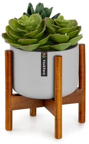 Fox & Fern Thorn, virágcserép, állvánnyal, 50-es évek stílusa, 2 méret