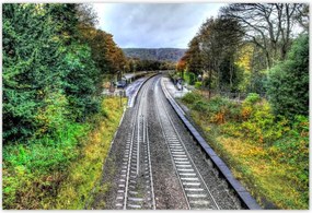 Poszterek 155x105 Pálya