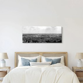 Kép - Házak háztetői Párizsban (120x50 cm)
