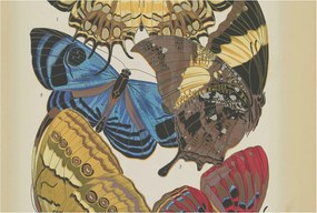 Fotótapéta Flizelin Fal Hálószoba Pillangók inspiráció 104x70 Ragasztó