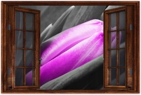 Poszter 60x40 Lila tulipán