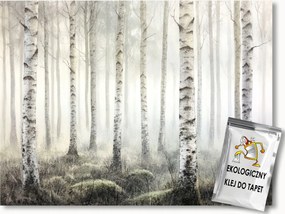 Fotótapéta Flizelina Tájkép Természet Erdő Fák Nyírfa Köd 368x254 ragasztó