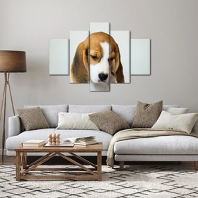 Beagle képe (150x105 cm)