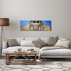 A pók részletének képe (órával) (90x30 cm)