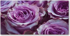 Konyhai panel Lila rózsák 120x60 cm Ragasztó