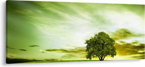 Kép - Az élet fája (120x50 cm)