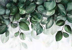 Fotótapéta Levelek Zöld Lógó Hálószoba Nappali Tapéta Flizelina 150x105