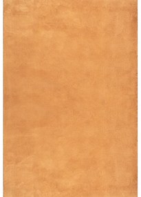 Royal Shaggy Szőnyeg 252 Terra 160x230cm