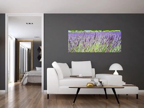 Egy mező képe a levendulával (120x50 cm)