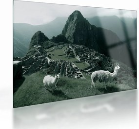 Üveg kép - Lámák a perui Machu Picchunál (70x50 cm)