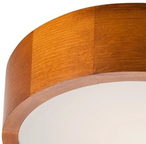 Mennyezeti lámpa 1xE27/60W/230V