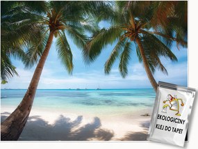 Fotótapéta Tengerpart 3D Pálmafák Tenger Természet Falra Hálószoba Nappali 400x280