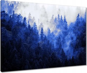 Vászonkép 80x60 Kék táj Hegyek