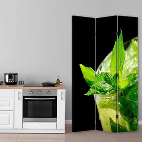 Gario Paraván Frissíto menta Méret: 110 x 170 cm, Kivitelezés: Forgó paraván 360°