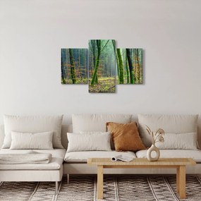 Az erdő képe (90x60 cm)