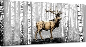 Vászonkép 115x55 Szarvas Nyírfa Erdő