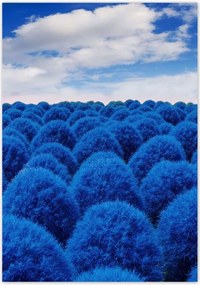 Poszterek 70x100 Klasszikus kék színben