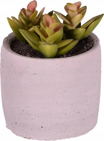 Pozsgások cserépben mesterséges dekoráció