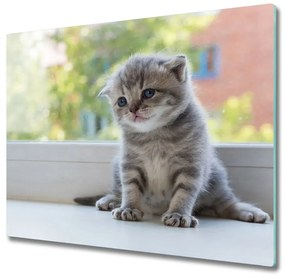 Üveg vágódeszka Kis macska az ablakban 60x52 cm