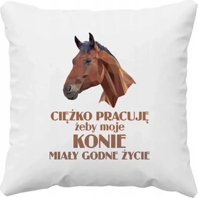 Keményen dolgozom, hogy lovaimnak méltó életük legyen Ajándék párna