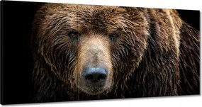 Festmények 180x90 Medve portré
