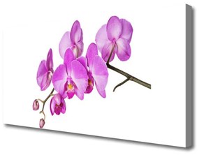 Vászonkép nyomtatás Orchidea Orchidea Virág 120x60 cm