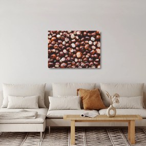 Üveg kép - Érett gesztenye (70x50 cm)