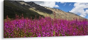 Hegyi rét tája (120x50 cm)