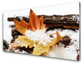 Akrilkép Autumn Forest Leaf Nature 100x50 cm 2 fogas