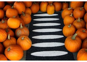 Fekete kültéri-beltéri futószőnyeg 70x150 cm Ella Black – Pappelina