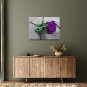 Kép - Lila rózsa zöld szárral (70x50 cm)