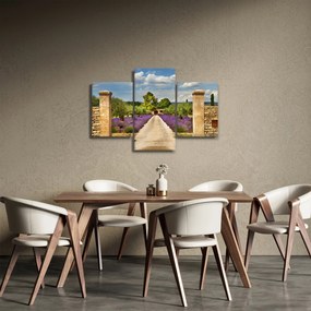 Kép - Levendula ösvények (90x60 cm)