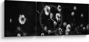 Kép - Gyapotfűvel borított rét N⁰1 (órával) (90x30 cm)