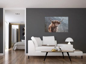 Kép - Highlander tehén (90x60 cm)