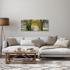 Kép - Smoky, hegység, Gatlinburg, USA (120x50 cm)