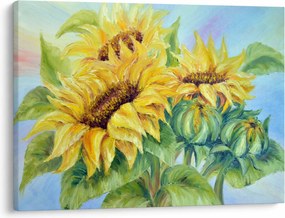 Virágzó napraforgó képe (70x50 cm)