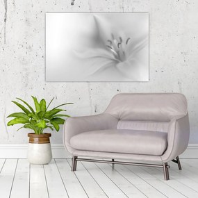Kép - Delicate Lily (90x60 cm)