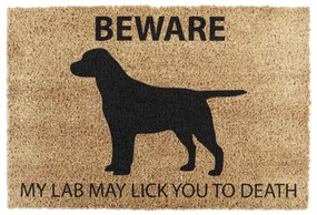 Kókuszrost lábtörlő 40x60 cm Labrador – Artsy Doormats