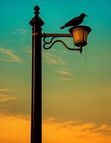 Poszter 50x65cm Nyugat a Lámpásban