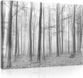 Vászonkép 80x60 Erdő a ködben Téli erdő Őszi erdő fekete-fehér tájkép