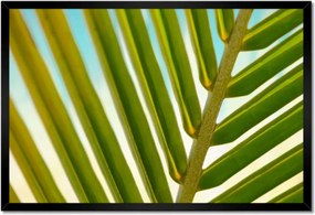 Poszter keretben 60x40 Pálmalevél Levél