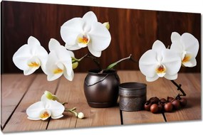 Vászonkép 120x70 Fehér orchideák