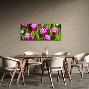 Tulipánok a réten képe (120x50 cm)
