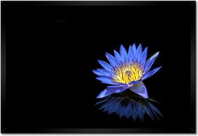 Poszterek keretben 60x40 Virágok