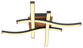 Globo 67171-20 - LED Csillár EVITA 4xLED/5W/230V