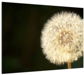 Szürke virág képe (70x50 cm)