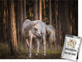 Fotótapéta Flizelina Ló Fehér a fák között 200x140 ragasztó